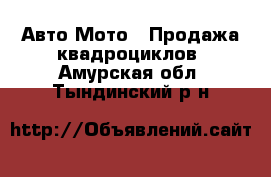 Авто Мото - Продажа квадроциклов. Амурская обл.,Тындинский р-н